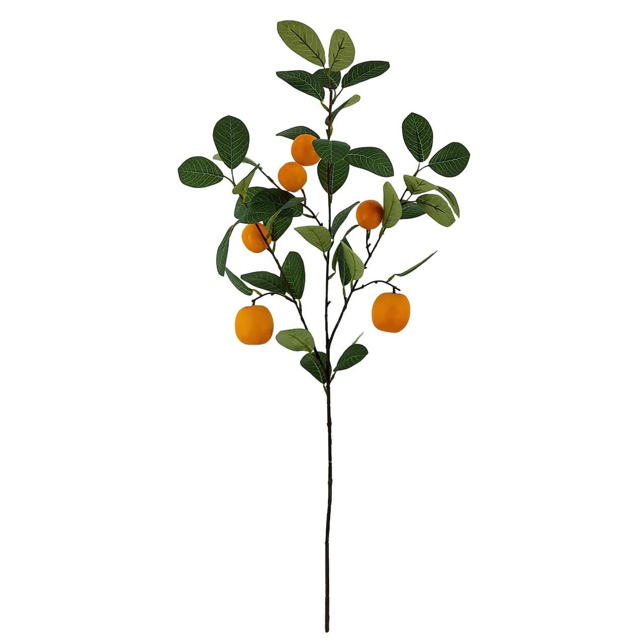 Orange Branch by Ashland&#xAE;